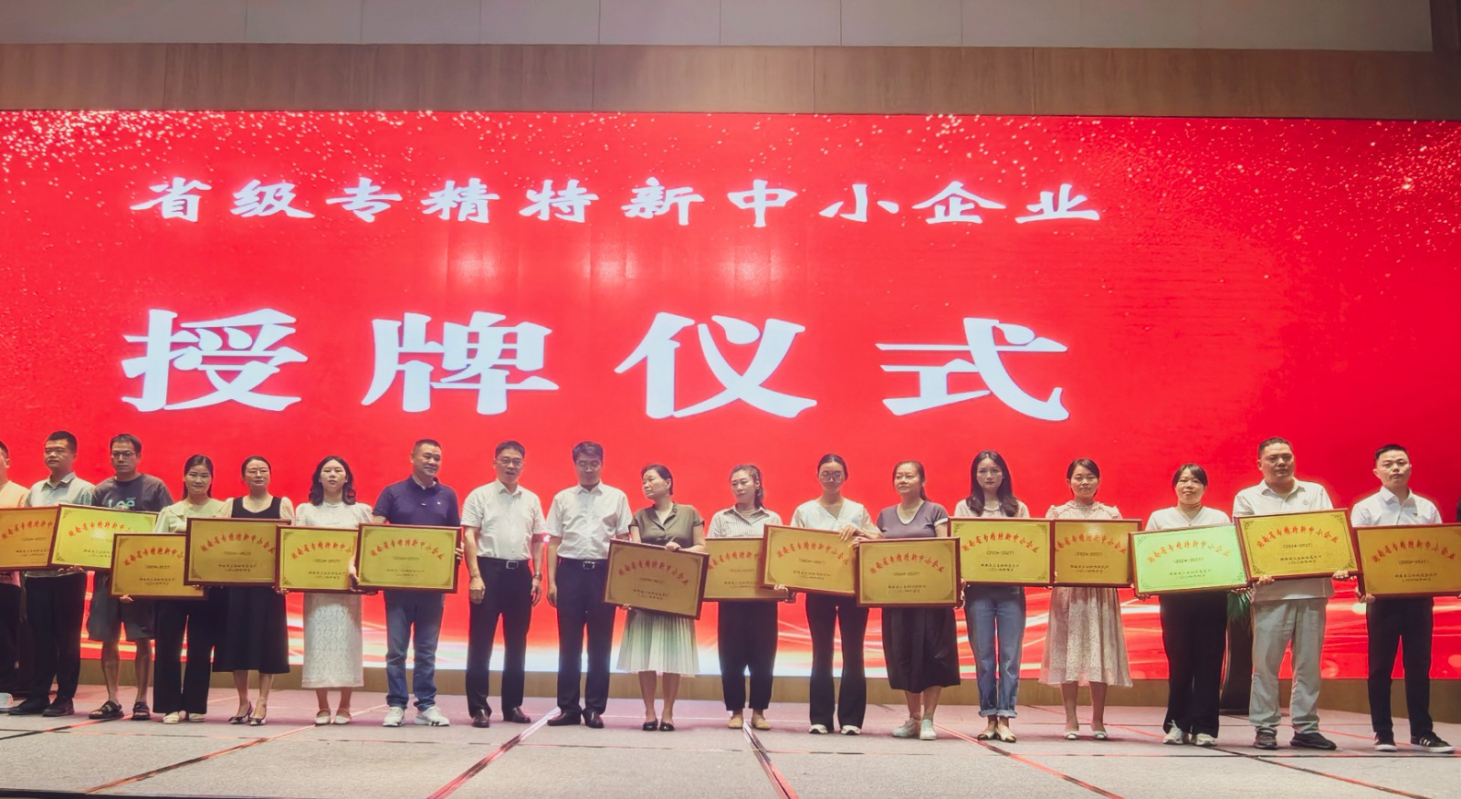 ued官网荣获2024年省专精特新中小企业授牌